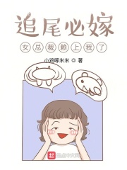 追尾必嫁，女