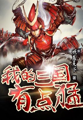 我的三国有点