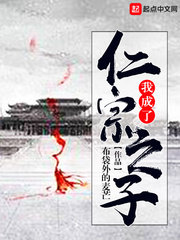 我成了仁宗之