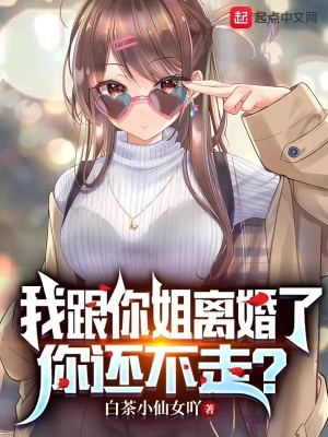 我跟你姐离婚