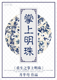 重生之掌上明