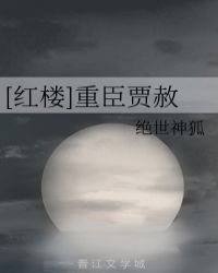 [红楼]重臣